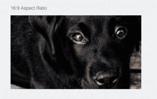 css aspect-ratio property